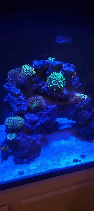 Aquarium Network Picture 7