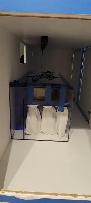 Aquarium Network Picture 6