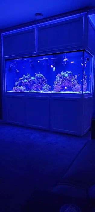 Aquarium Network Picture 8