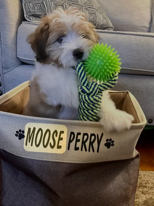 Noah's Ark Veterinary Practice Picture 7
