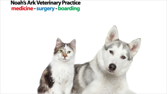 Noah's Ark Veterinary Practice Picture 9