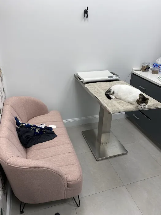 Ivy Pets - Midwood Picture 6