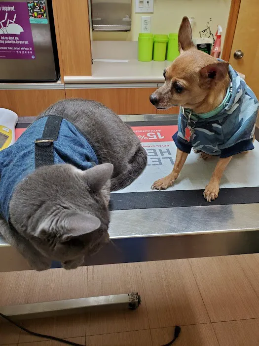 Sheepshead Bay Veterinary Group Picture 8