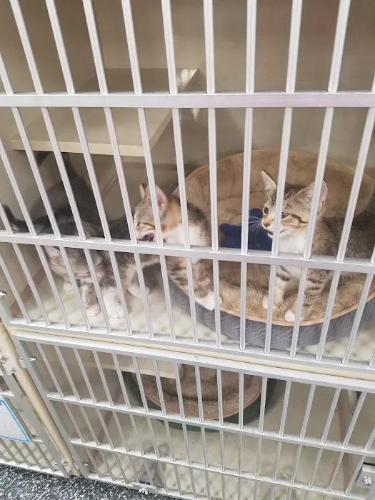 Petco Picture 2