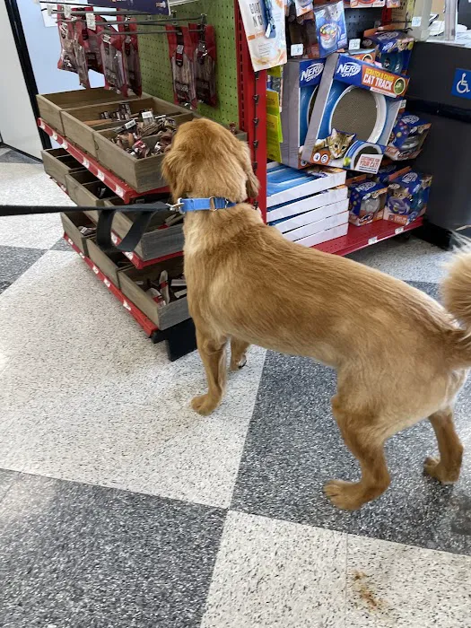 Petco Picture 7