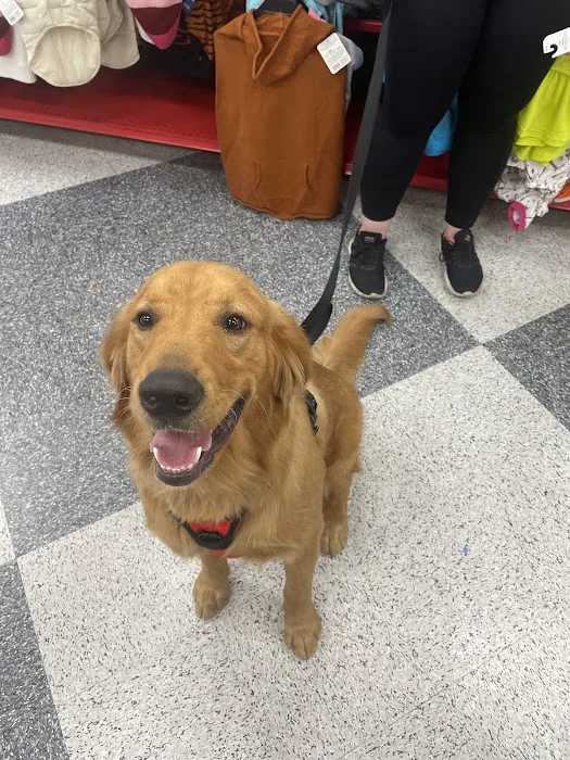 Petco Picture 8