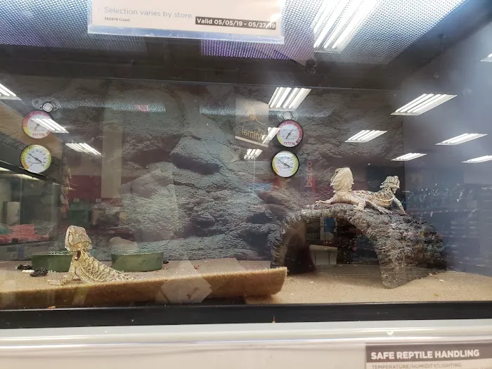 Petco Picture 6