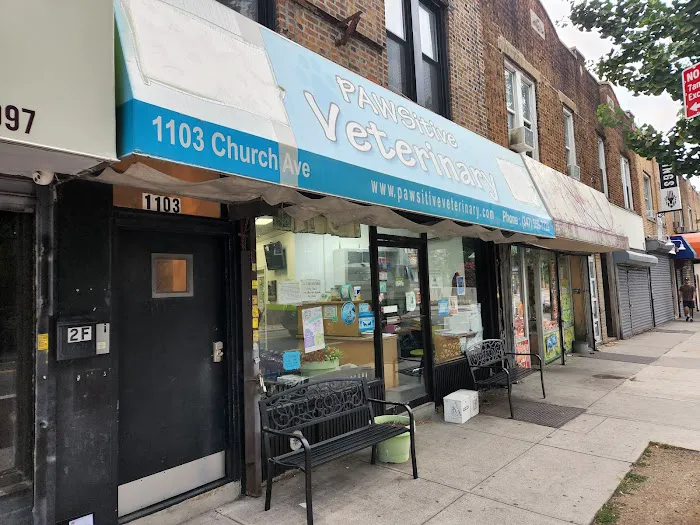 PAWSitive Veterinary of New York Picture 7