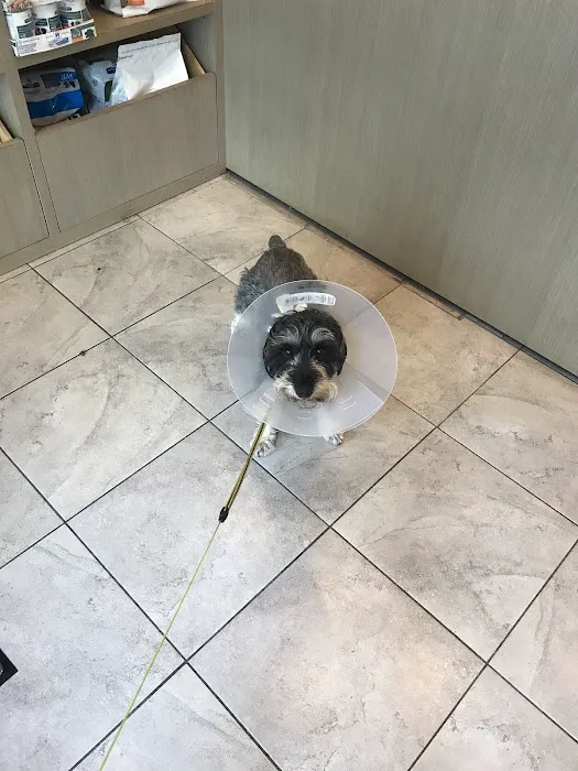 Crown Heights Animal Hospital Picture 6