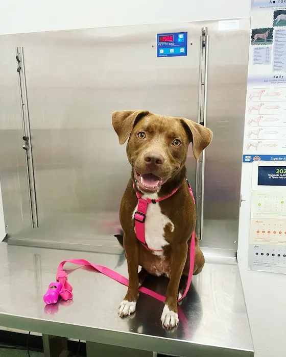 Windsor Terrace Veterinarians Picture 3