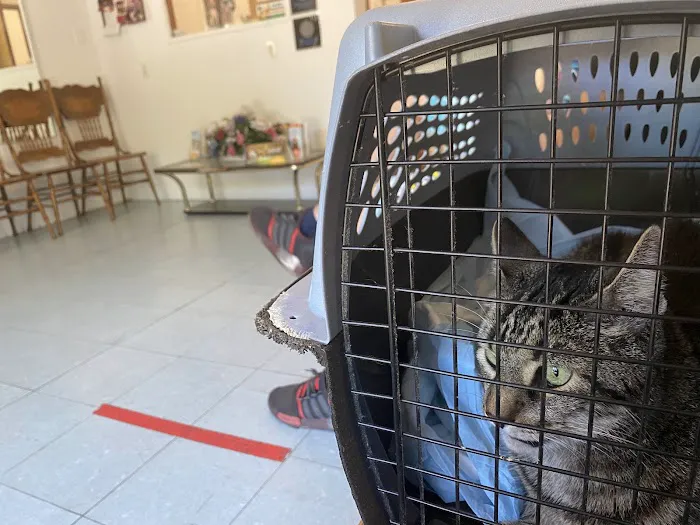 Windsor Terrace Veterinarians Picture 5