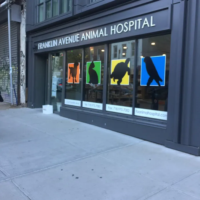 Franklin Ave Animal Hospital Picture 4
