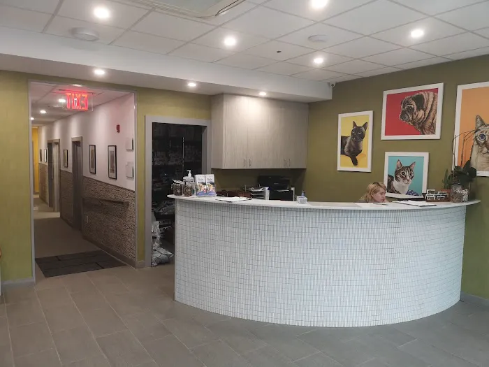 Franklin Ave Animal Hospital Picture 5