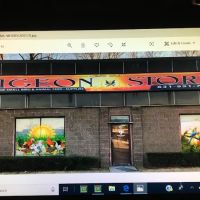 The Wellwood Pigeon Store ico