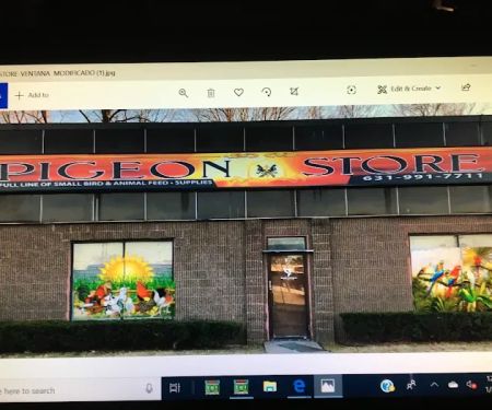 The Wellwood Pigeon Store
