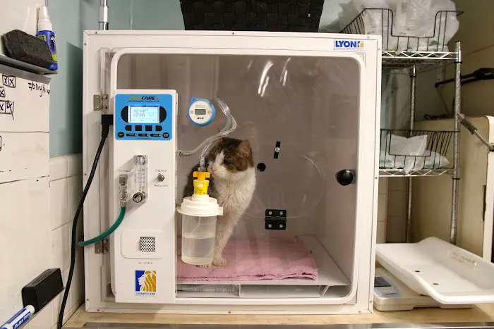 Prospect Park Animal Clinic Picture 3