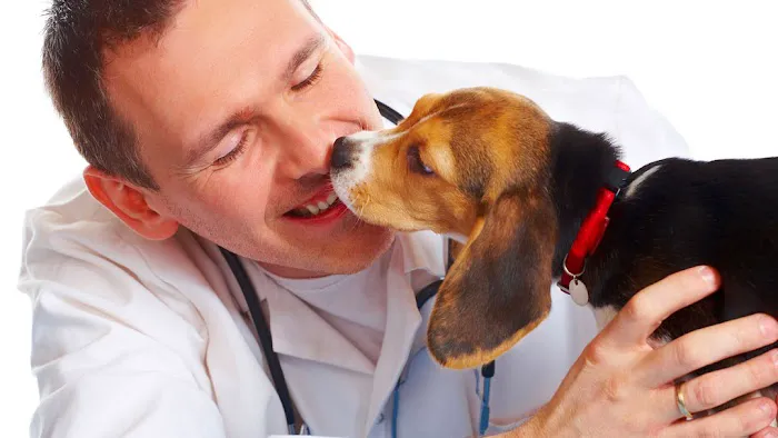 Prospect Park Animal Clinic Picture 5