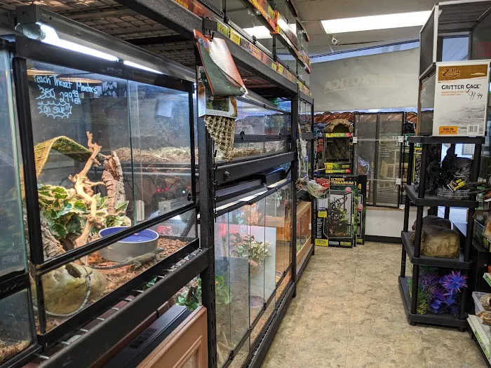 Repxotica, Inc Picture 10