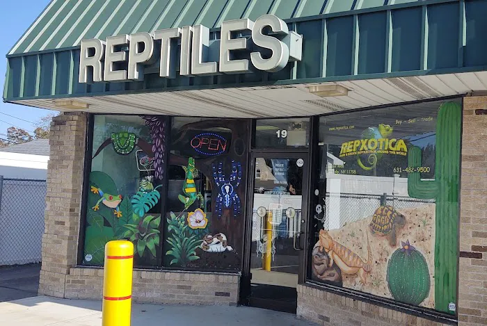 Repxotica, Inc Picture 8