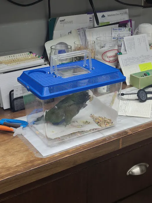 Pet Haven Animal Hospital Picture 8