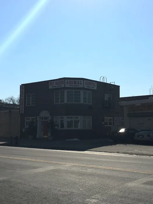 Pet Haven Animal Hospital Picture 7