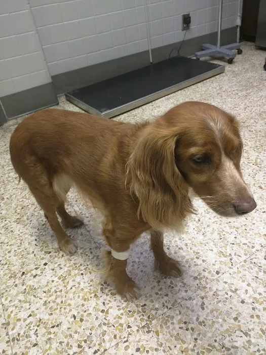 Pet Haven Animal Hospital Picture 4