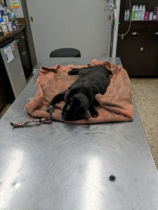 Pet Haven Animal Hospital Picture 2