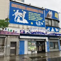 Northern Aquarium pet ico