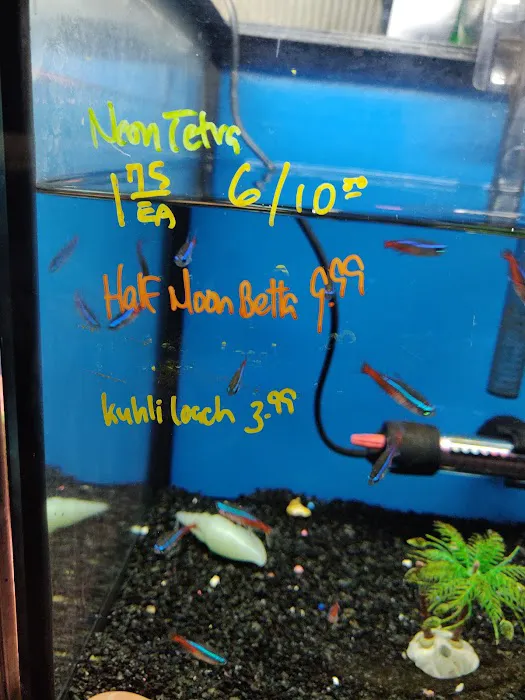 Northern Aquarium pet Picture 10