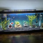 Underground Aquaticz