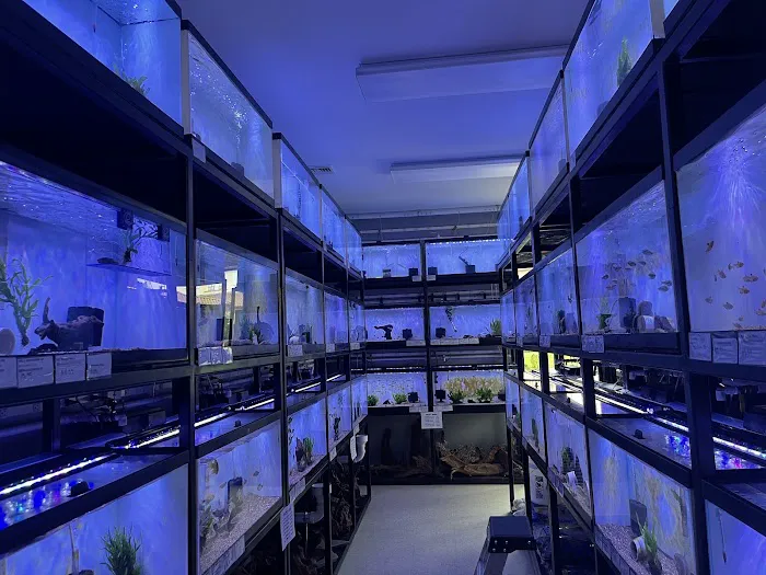 Underground Aquaticz Picture 5
