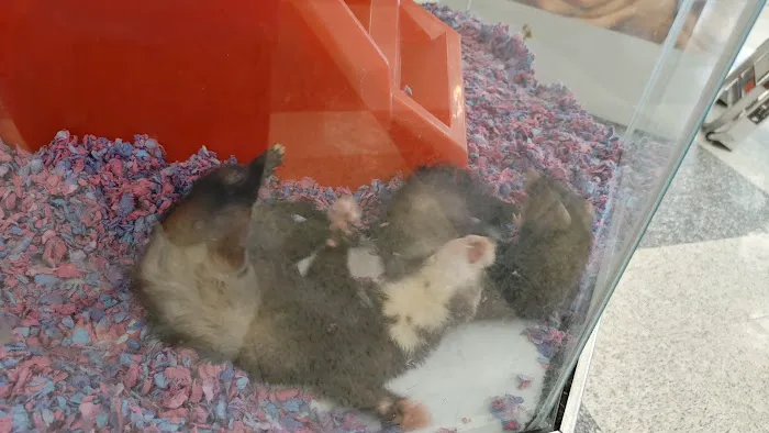 Petco Picture 1