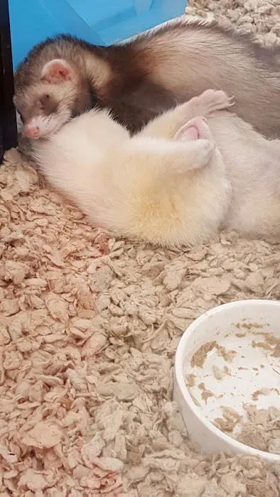 Petco Picture 2
