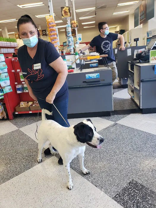 Petco Picture 10