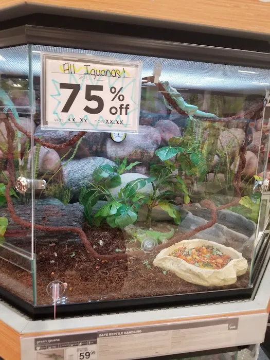 Petco Picture 6