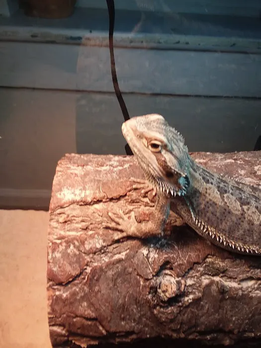 Petco Picture 4