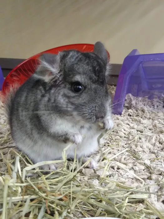 Petco Picture 7