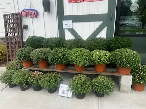 Malta Farm and Garden Picture 8