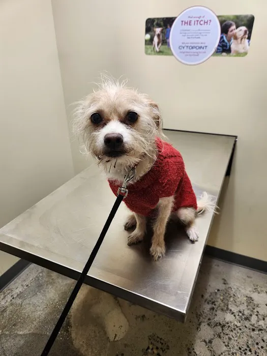 Vetco Total Care Animal Hospital Picture 2