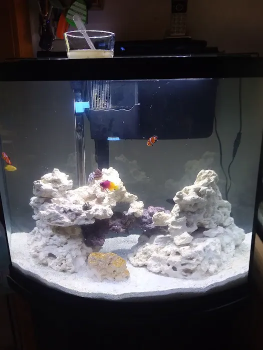Buckley's Fish Room Picture 3