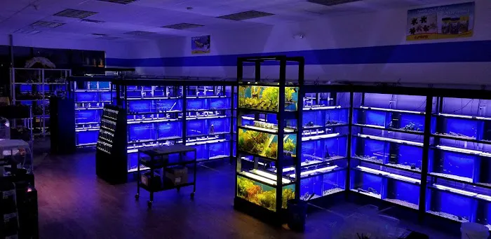 Buckley's Fish Room Picture 10