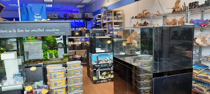 Buckley's Fish Room Picture 1