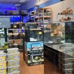 Buckley's Fish Room