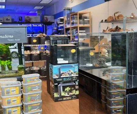 Buckley's Fish Room