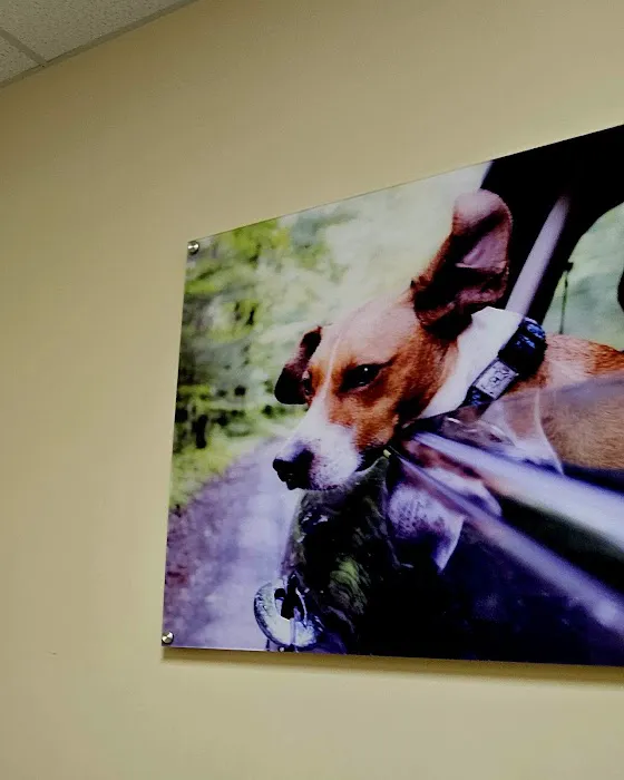 Vetco Vaccination Clinic Picture 1