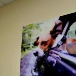 Vetco Vaccination Clinic