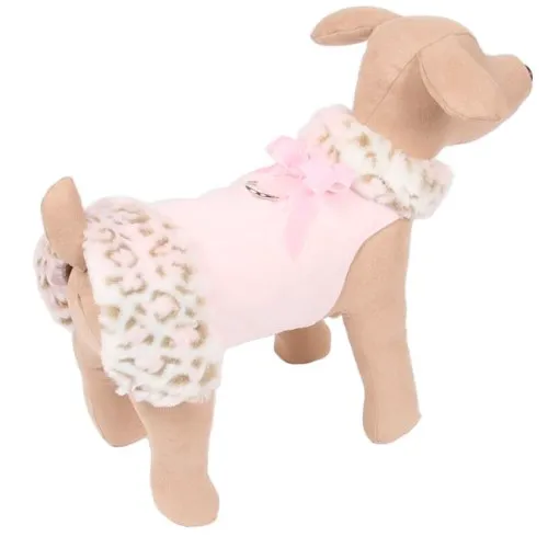 Bloomingtails Dog Boutique Picture 5