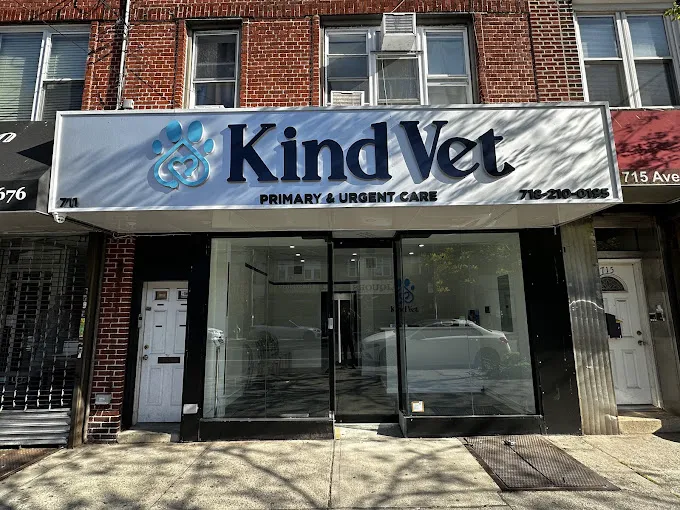 Kind Vet Picture 9