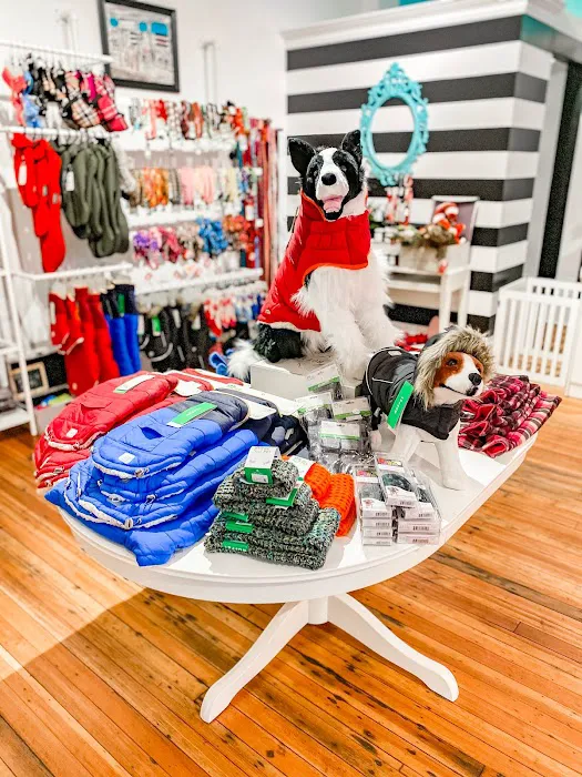 Bella & Lindy Pet Boutique Picture 10