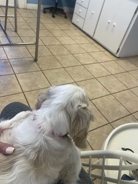 Aquebogue Veterinary Hospital Picture 4